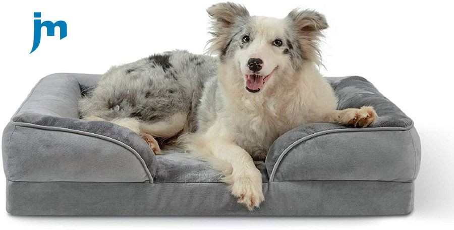 Best Dog Orthopedic Beds